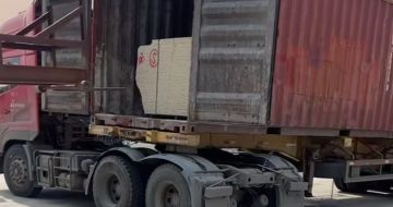 绍兴 黄金麻荔枝面毛板