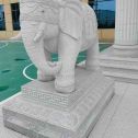 绍兴 白麻花岗岩动物异形石雕-大象