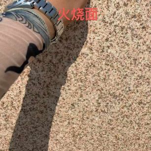 绍兴黄金麻火烧面