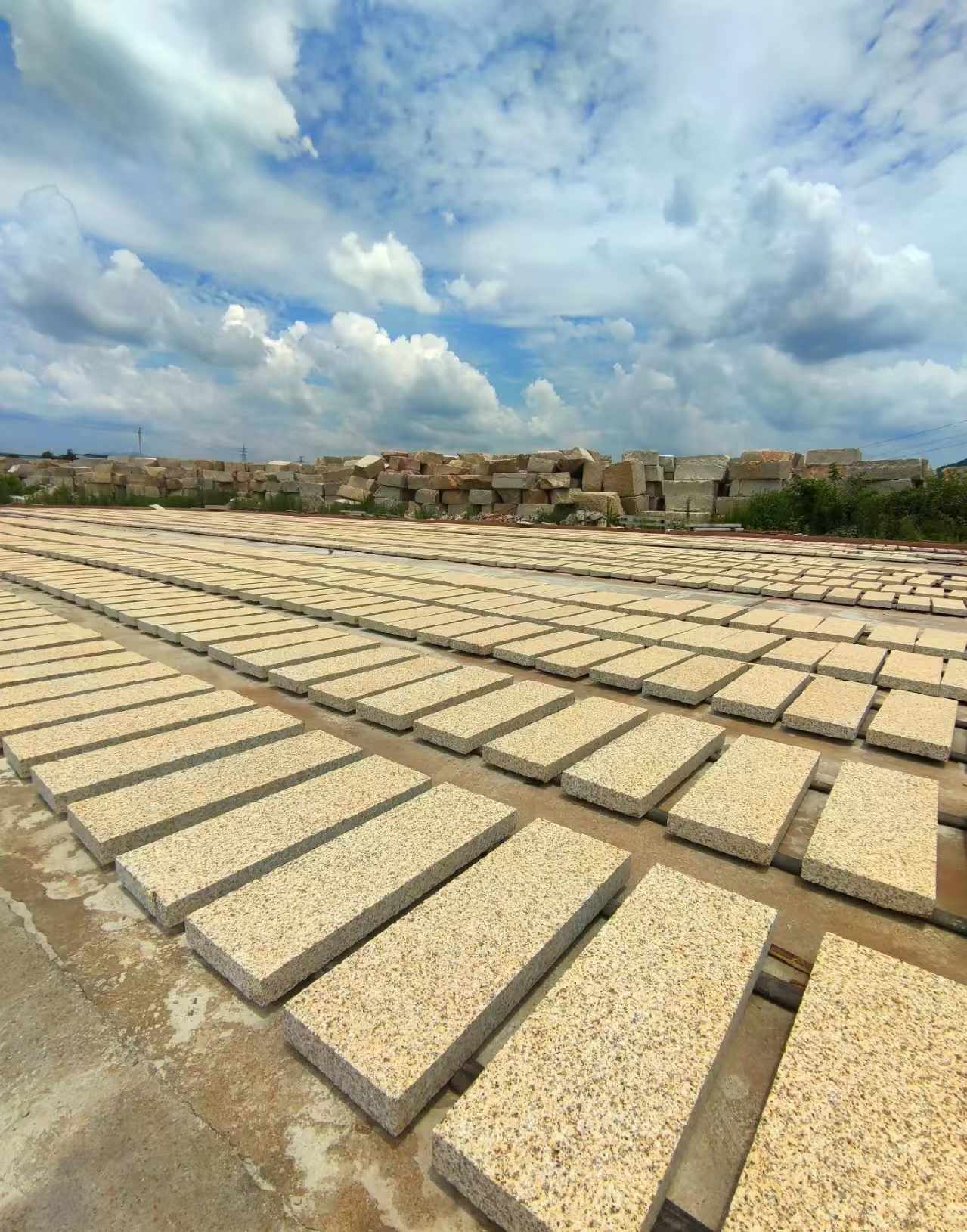 绍兴 黄金麻荔枝面花岗岩石材地铺石防护中
