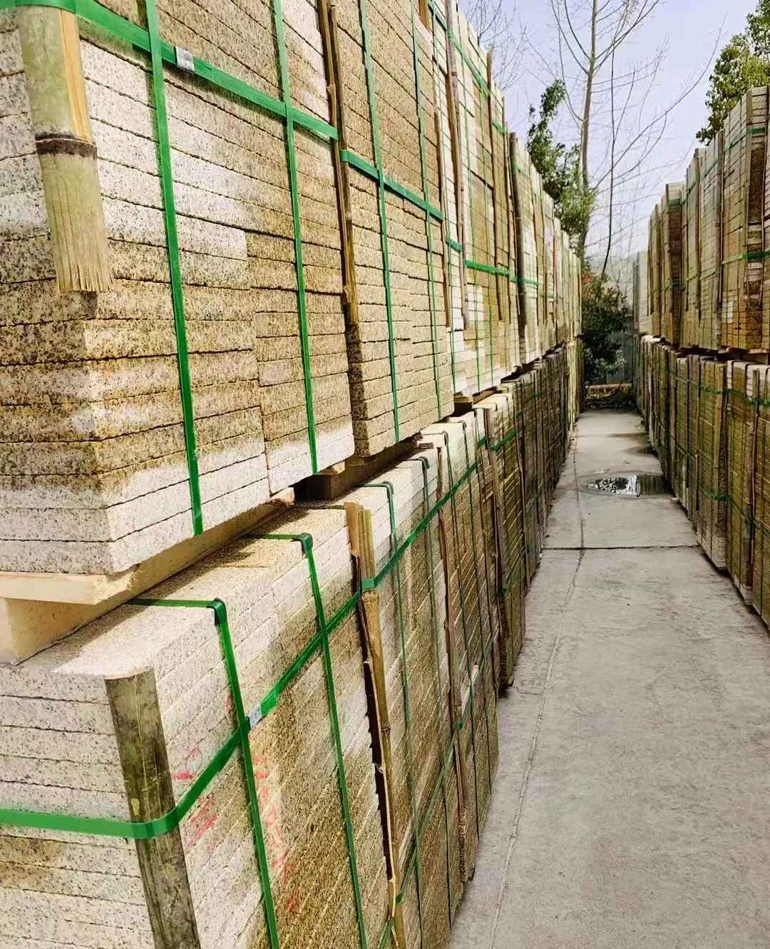 绍兴 黄金麻花岗岩荔枝面地铺石