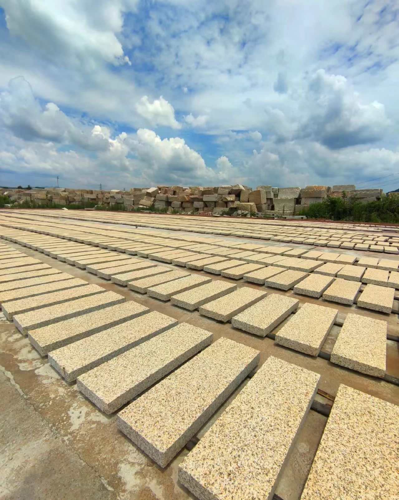 绍兴 黄金麻花岗岩荔枝面地铺石防护中